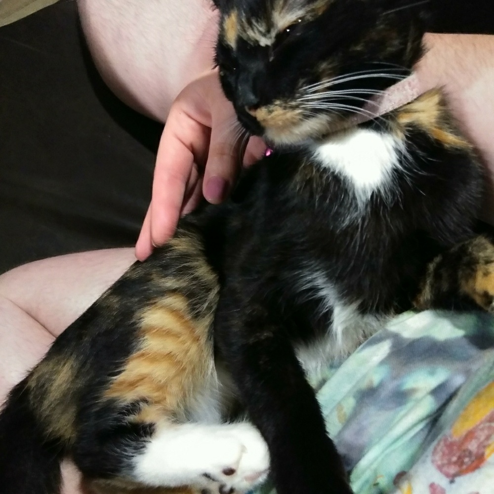 Meet your Posher, Nathan